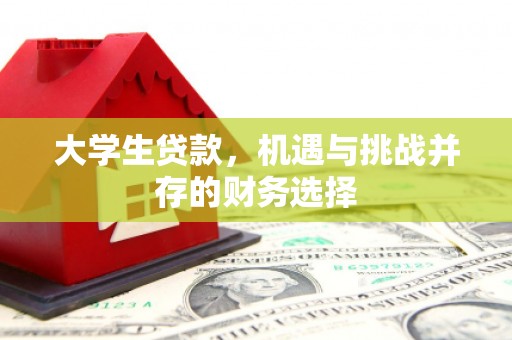 林西大学生贷款，机遇与挑战并存的财务选择