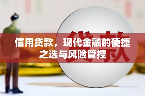 林西信用贷款，现代金融的便捷之选与风险管控