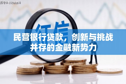 林西民营银行贷款，创新与挑战并存的金融新势力