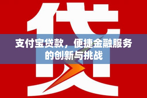 林西支付宝贷款，便捷金融服务的创新与挑战