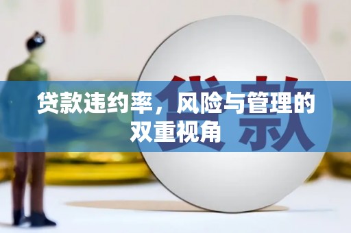 林西贷款违约率，风险与管理的双重视角
