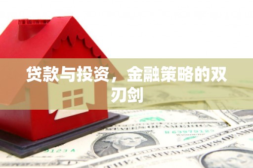 林西贷款与投资，金融策略的双刃剑