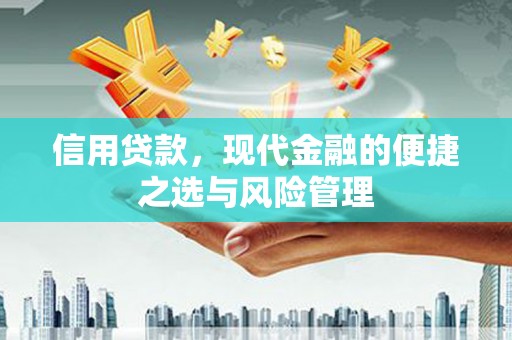 林西信用贷款，现代金融的便捷之选与风险管理