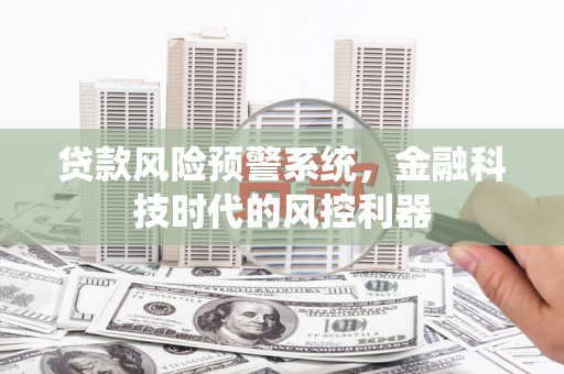 林西贷款风险预警系统，金融科技时代的风控利器