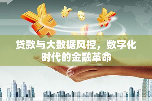 林西贷款与大数据风控，数字化时代的金融革命