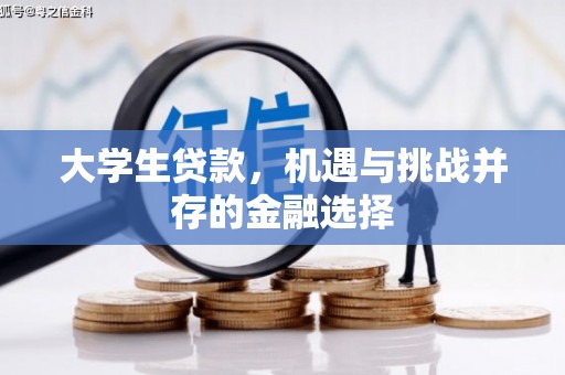 林西大学生贷款，机遇与挑战并存的金融选择