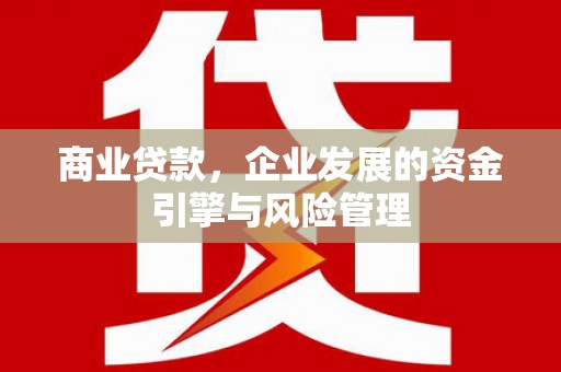 林西商业贷款，企业发展的资金引擎与风险管理