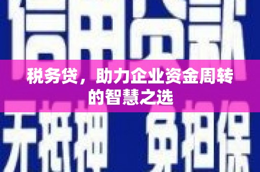 林西税务贷，助力企业资金周转的智慧之选