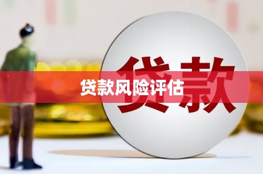 林西贷款风险评估