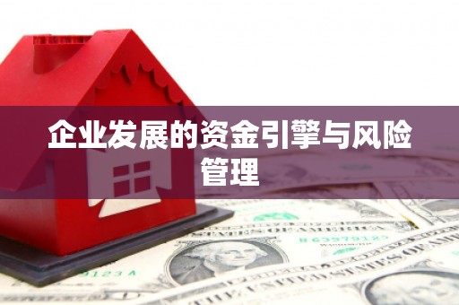 林西企业发展的资金引擎与风险管理
