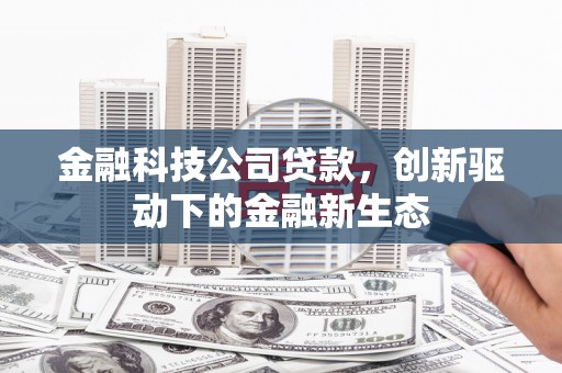 林西金融科技公司贷款，创新驱动下的金融新生态