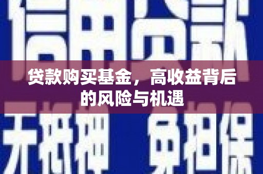 林西贷款购买基金，高收益背后的风险与机遇