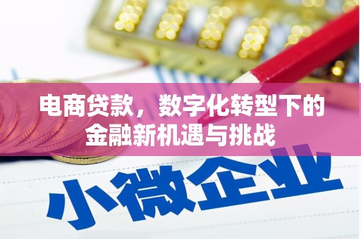 林西电商贷款，数字化转型下的金融新机遇与挑战