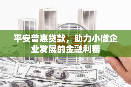 林西平安普惠贷款，助力小微企业发展的金融利器