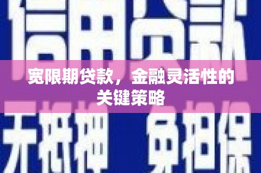林西宽限期贷款，金融灵活性的关键策略