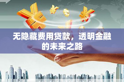 林西无隐藏费用贷款，透明金融的未来之路