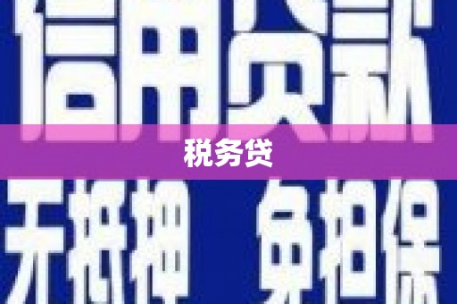 林西税务贷