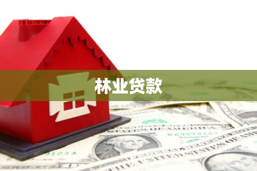 林西林业贷款