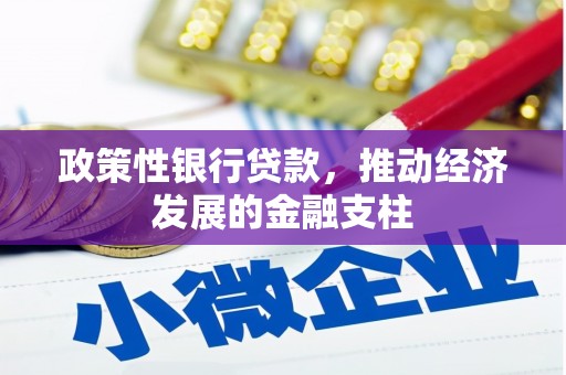 林西政策性银行贷款，推动经济发展的金融支柱