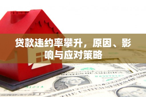 林西贷款违约率攀升，原因、影响与应对策略