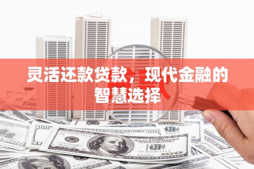 林西灵活还款贷款，现代金融的智慧选择