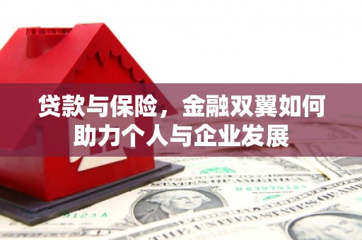 林西贷款与保险，金融双翼如何助力个人与企业发展