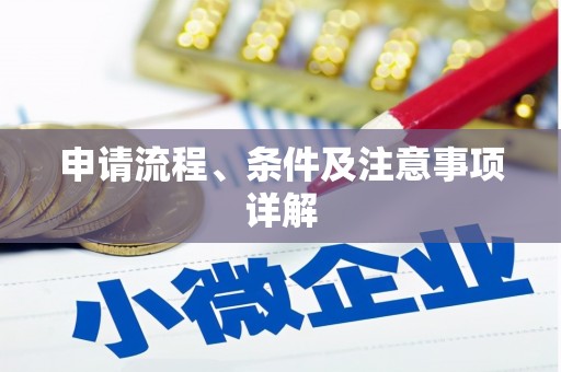 林西申请流程、条件及注意事项详解