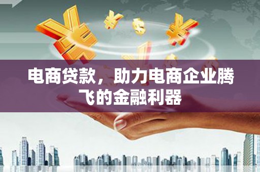 林西电商贷款，助力电商企业腾飞的金融利器