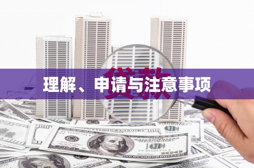林西理解、申请与注意事项