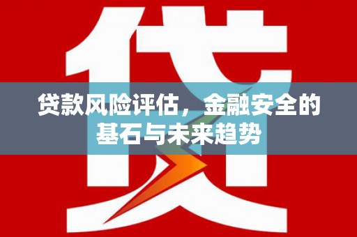林西贷款风险评估，金融安全的基石与未来趋势