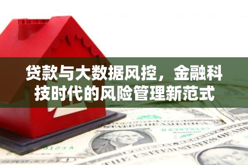 林西贷款与大数据风控，金融科技时代的风险管理新范式