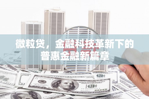 林西微粒贷，金融科技革新下的普惠金融新篇章