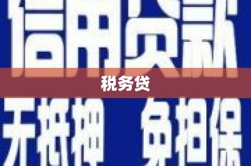 林西税务贷