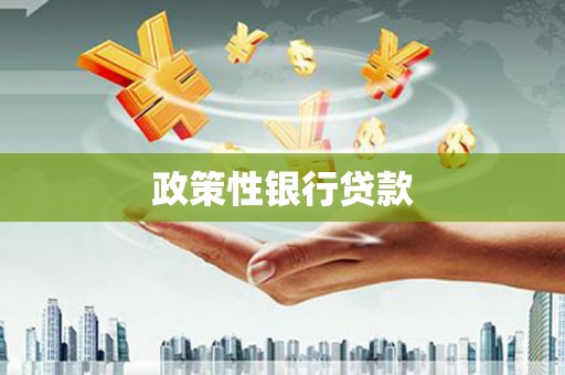 林西政策性银行贷款