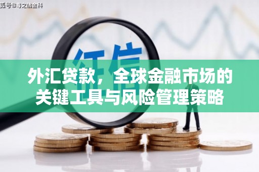 林西外汇贷款，全球金融市场的关键工具与风险管理策略