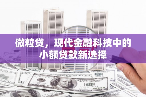 林西微粒贷，现代金融科技中的小额贷款新选择