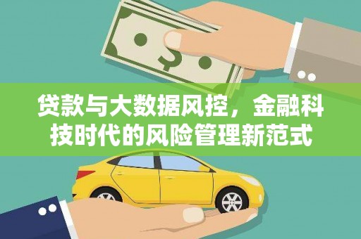 林西贷款与大数据风控，金融科技时代的风险管理新范式