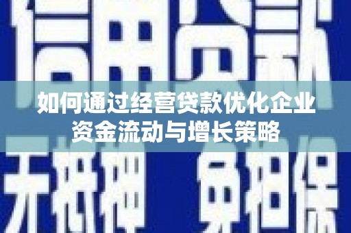林西如何通过经营贷款优化企业资金流动与增长策略