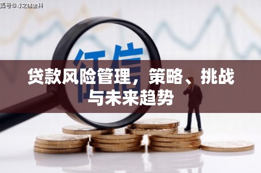 林西贷款风险管理，策略、挑战与未来趋势