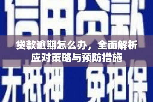 林西贷款逾期怎么办，全面解析应对策略与预防措施