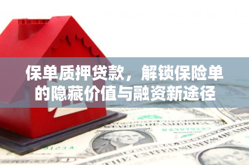 林西保单质押贷款，解锁保险单的隐藏价值与融资新途径