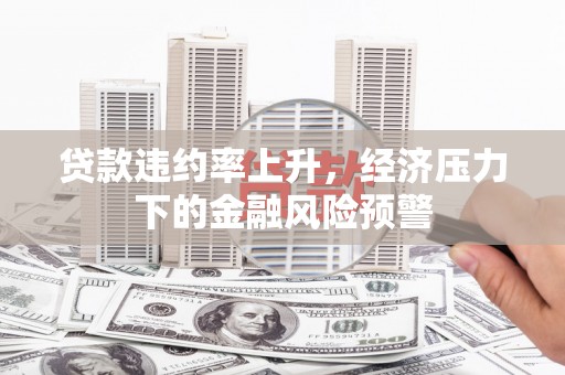 林西贷款违约率上升，经济压力下的金融风险预警