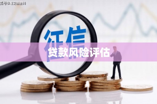 林西贷款风险评估