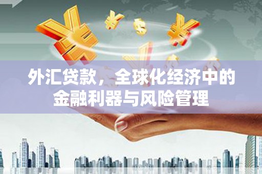 林西外汇贷款，全球化经济中的金融利器与风险管理