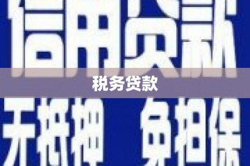 林西税务贷款