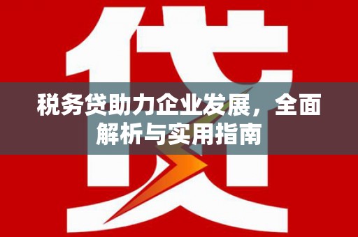 林西税务贷助力企业发展，全面解析与实用指南