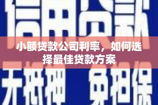 林西小额贷款公司利率，如何选择最佳贷款方案