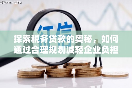 林西探索税务贷款的奥秘，如何通过合理规划减轻企业负担