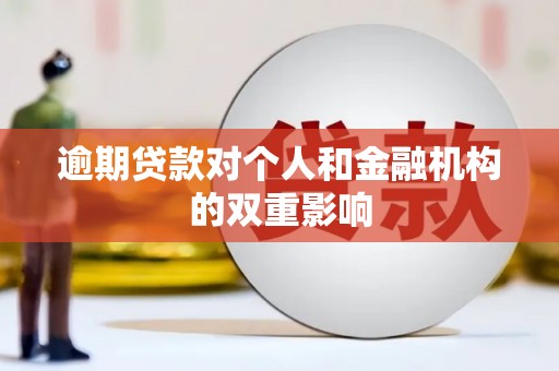 林西逾期贷款对个人和金融机构的双重影响