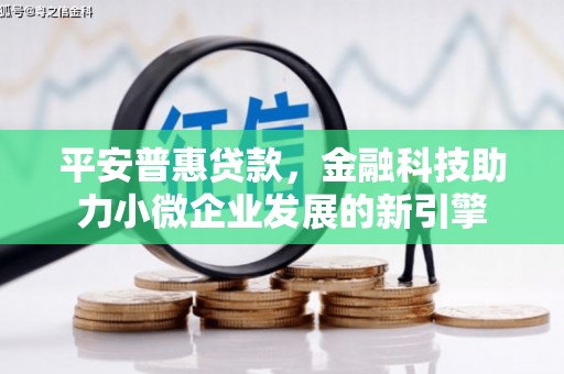 林西平安普惠贷款，金融科技助力小微企业发展的新引擎